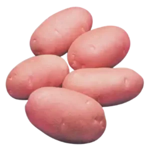 Lal Alu (Red Potato Cardinal) ± 50 gm